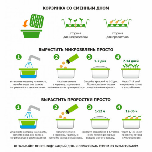 Подарочный набор для проращивания микрозелени: проращиватель, семена дайкона (зеленый)