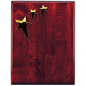 Плакетка, 22,8х30,5х2,9 см, дерево, металл, лазерная гравировка