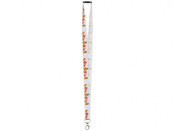 Ланъярд с карабином и замком обрыва