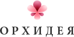 Орхидея Орхидея