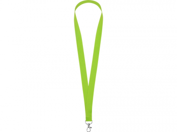 Ланьярд с карабином, зеленое яблоко