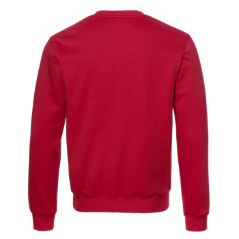 Толстовка унисекс 68_Красный (14)  (L/50)