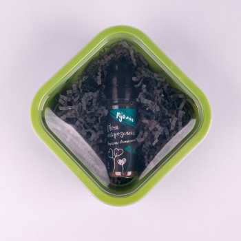 Набор для проращивания микрозелени: проращиватель, семена руколы