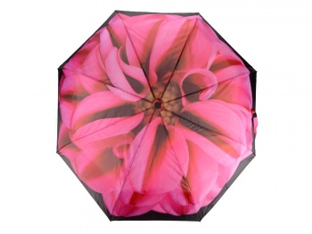 Набор «Георгин», черный/розовый