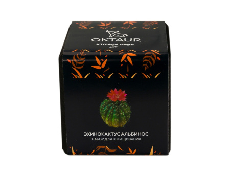 Набор для выращивания "Small village cube "Эхинокактус Альбинос"