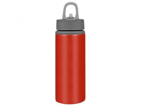 Бутылка для воды Rino 660 мл, красный