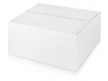 Погодная станция «Паровоз», бронза с чернением