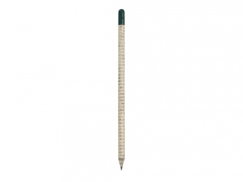 Растущий карандаш с семенами базилика