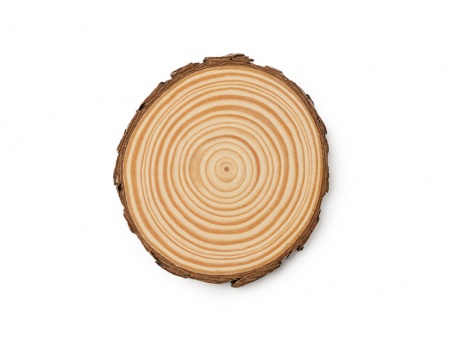 Набор PINEA из 4 подставок из сосны, натуральный