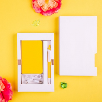 Набор подарочный POWER BOX MINI: Универсальный аккумулятор(5000мАh) и ручка, шт