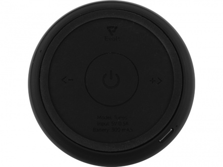 Портативные стереоколонки "Tunes" Evolt