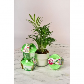 Набор для выращивания. "Моя микрозелень": РЕДИС