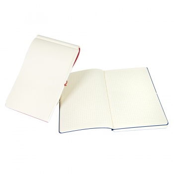 Набор подарочный FINELINE: кружка, блокнот, ручка, коробка, стружка, белый с синим