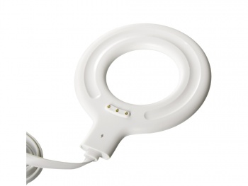 Блендер пластиковый "Smoothie"