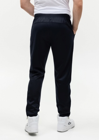 Брюки мужские STAN полиэстер, 260, 94, Тёмно-синий,  (46)  (54/XXL)